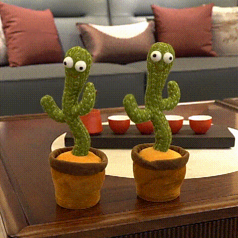 SPREKENDE DANSER CACTUS