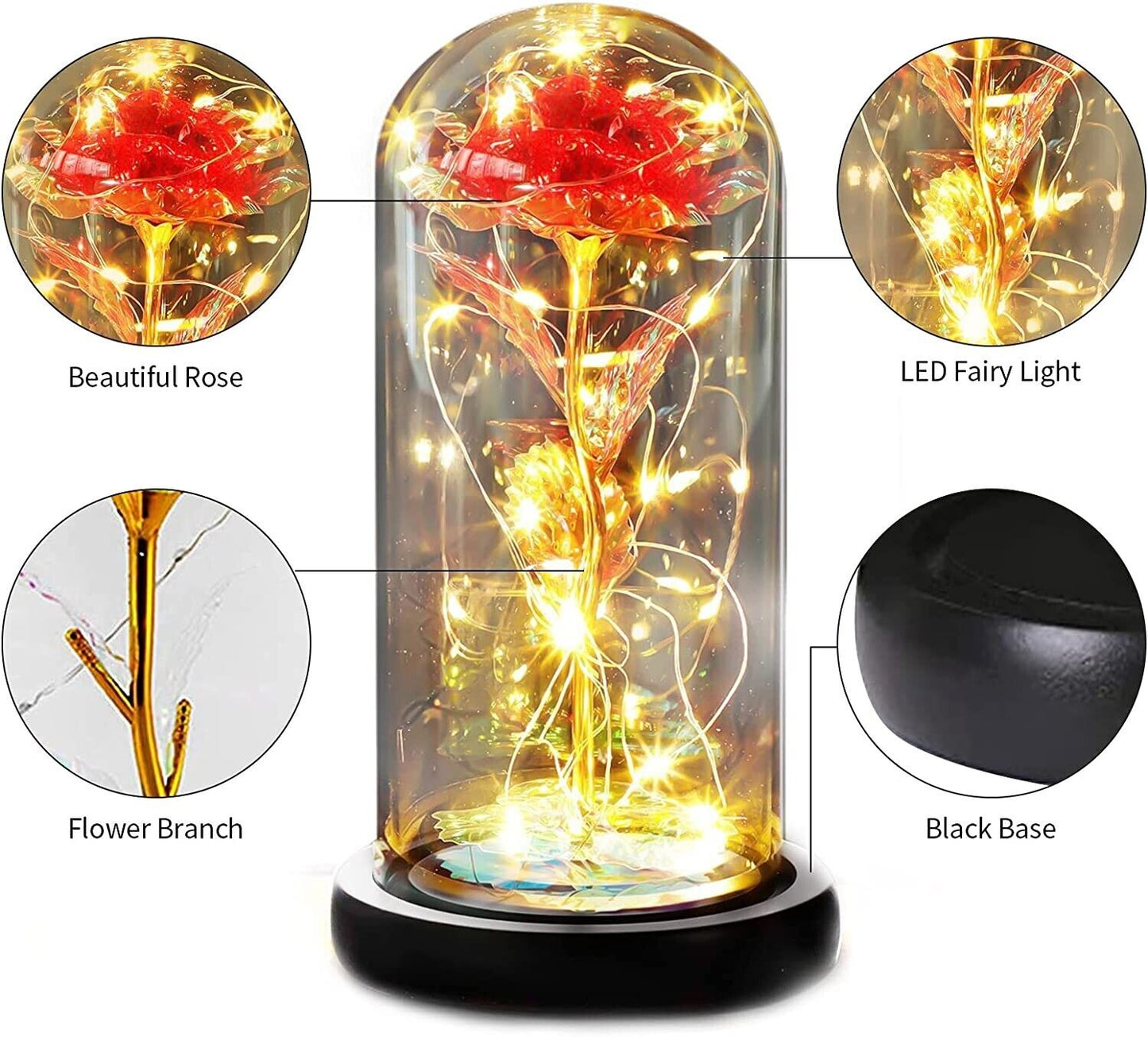 RANJIMA Ewige Rose, echte stabilisierte Rose im Glas. Die Schöne und das Biest Rose 